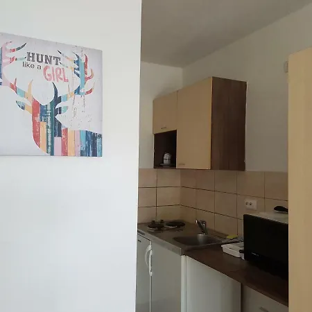 Apartmenthaus Beim Lkh ゲストハウス グラーツ