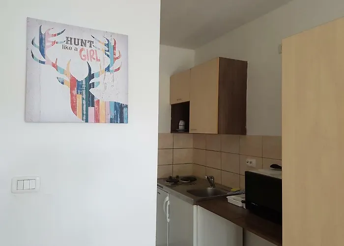 Apartmenthaus Beim Lkh I Free Parking I Self Check-in Pensionat Graz